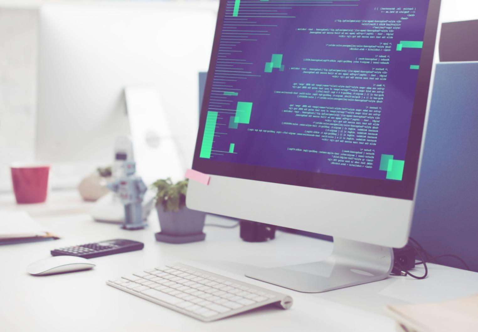 Expert SEO en consultation avec client